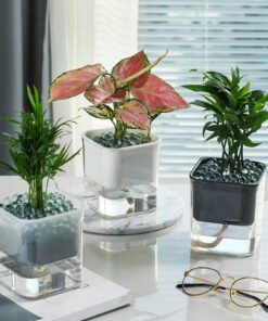 Automatic Watering Planter Self Watering Pots For Indoor Plants Flower Pot For All House Plants Succulents 6982C2B9 1550 465C 9F34 90F1Eea45Ce31C441A9323F601Ac5B94671533De390D