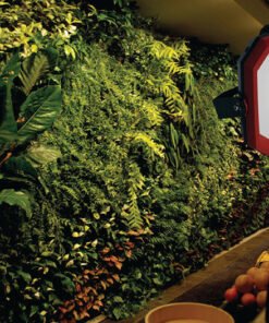 Den Led Trong Cay Trong Nha Rang Dong Cx50W Wr 220V 2