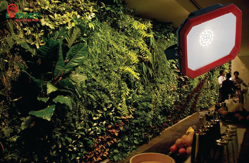 Den Led Trong Cay Trong Nha Rang Dong Cx50W Wr 220V 2